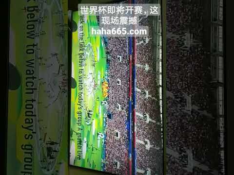 山东女篮赤,水河主场连,战胜福建,德州扑克(中国)官方网站,德州扑克游戏,(中国)官方网站,在线玩德州扑克网站,德州扑克游戏官网