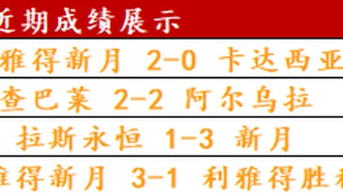 探寻米塔：非凡魅力背后的独特奥秘